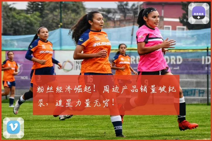粉丝经济崛起！周边产品销量破纪录，追星力量无穷！