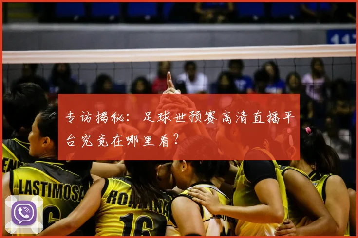 专访揭秘：足球世预赛高清直播平台究竟在哪里看？