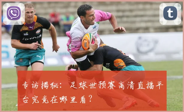 专访揭秘：足球世预赛高清直播平台究竟在哪里看？