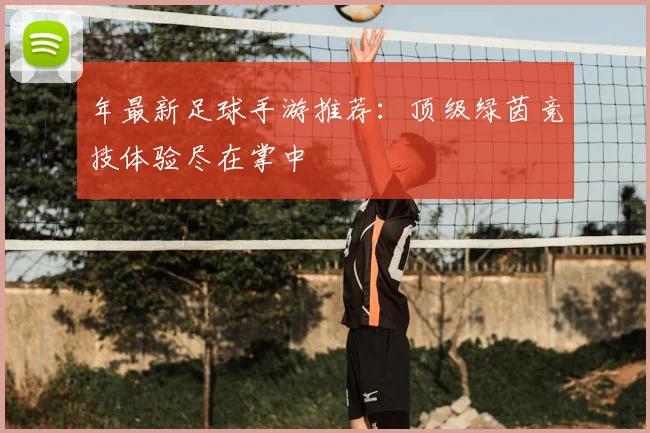 年最新足球手游推荐：顶级绿茵竞技体验尽在掌中