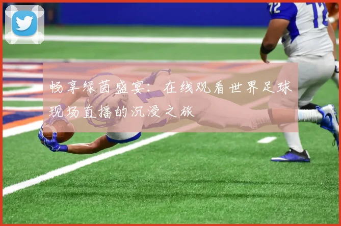 畅享绿茵盛宴：在线观看世界足球现场直播的沉浸之旅
